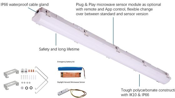 Βιομηχανικό LED Tri Proof Light IP66 IK10 2ft/4ft/5ft/8ft 120-277V/120-347V Εισερχόμενη τάση