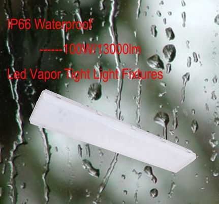 100W 3500K 4FT LED Ατμός Σφιχτό Υψηλό Κόλπο IP67 με Διαφανή Διαχέα Πολυανθρακούχου