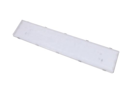100W 3500K 4FT LED Ατμός Σφιχτό Υψηλό Κόλπο IP67 με Διαφανή Διαχέα Πολυανθρακούχου