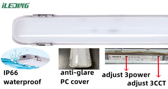 80 Ra LED ατμοστεγείς 2ft 3CCT Επιλεξιμό LED ατμοστεγείς IP66 για συνδεδεμένο φωτισμό