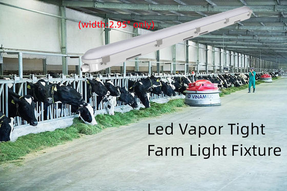 4FT Tri Proof LED Φωτιστικό Φαξίδιο 42W Γραμμικό Ατμό Σφιχτό Φως Για Αποθήκευση Τροφίμων Ανθεκτικό