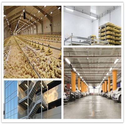 Κεραμική Αποθήκη 5FT IP66 LED Tri Proof Fixture Ατμός Σφιχτό Φωτός 55W AC 110V ±10%