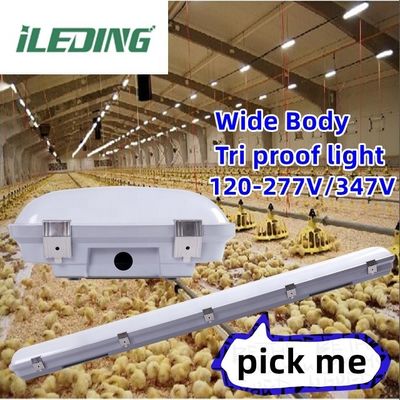 IP67 155W 4FT 1.2M LED Ατμός Σφιχτό Τρι-αποσταθεροποιημένο Φως για Βιομηχανική Αποθήκη Αποσταθεροποιημένο