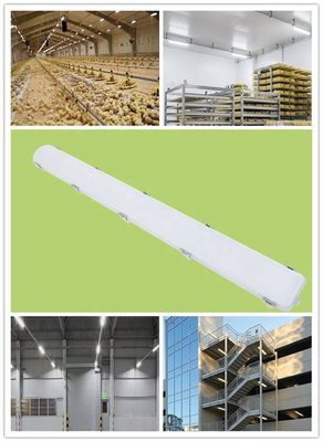 IP66 Αδιάβροχο Γραμμικό 65W Αποθήκη LED Ατμό στενή ενέργεια φωτός για εσωτερικό γαλακτοκομικό αγρόκτημα