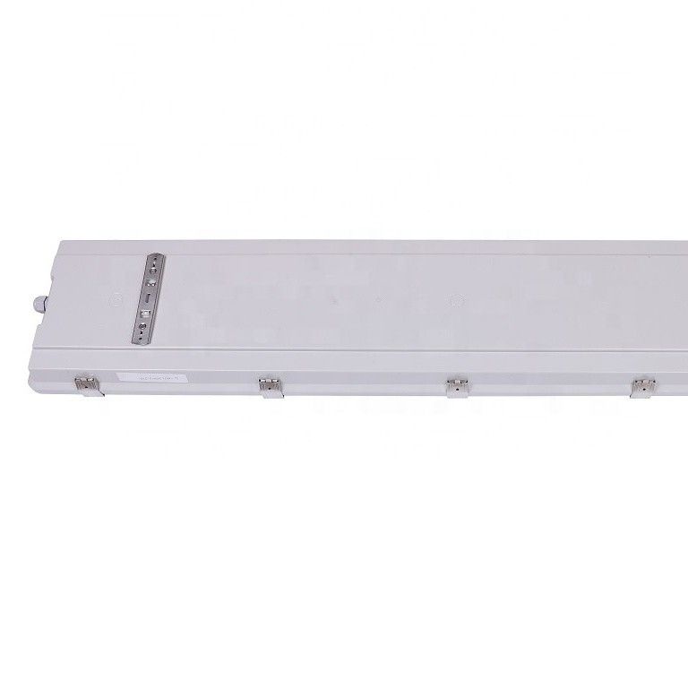 100W 3500K 4FT LED Ατμός Σφιχτό Υψηλό Κόλπο IP67 με Διαφανή Διαχέα Πολυανθρακούχου